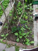 DSCF0034_r1_13_1.webp