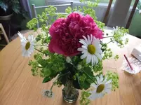 DSCF0057_40_1.webp