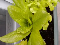 2013-06-03 18.27.13.webp