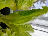 2013-06-03 18.27.19.webp
