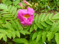 P1060201.webp