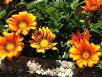 002.webp