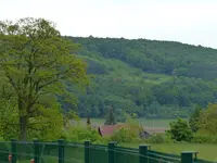 Weiherde.webp