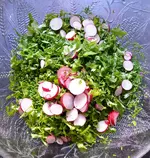 Schnittsalat.webp