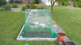 2013-06-05 20.33.39.webp