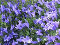 045.webp