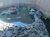DSC03439.webp