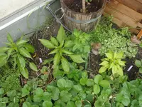 DSC01432.webp