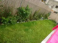 DSC01439.webp