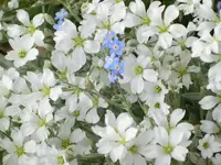 CIMG3447.webp