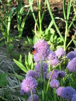 CIMG3452.webp