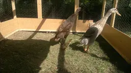 2013-06-05-1611.webp