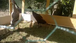 2013-06-05-1626.webp
