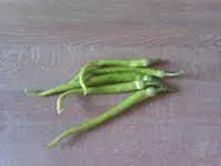 IMAG1068.webp