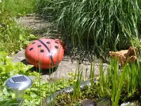 Käger und Ente 6.6.2013.webp