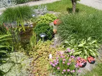 Teich2 6.6.2013.webp