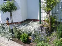 Erkerbeet3 6.6.2013.webp