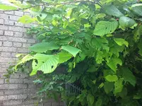 IMG_1163.webp