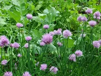 DSCF0036_15_1.webp