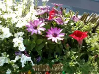 rps20130606_190849.webp