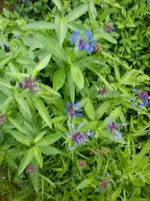 011.webp