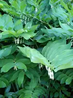 013.webp