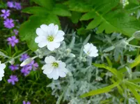P1060236.webp