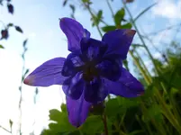 P1060230.webp