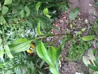 image.webp