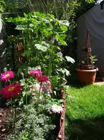 Garten3.webp
