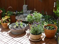 Garten4.webp
