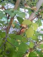 20130522_183445 (Large).webp