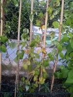 20130522_183504 (Large).webp