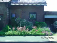 Vorgarten rechts.webp