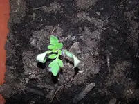 20130607_120500.webp