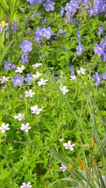 DSCN4832.webp