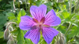 DSCN4833.webp