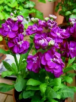 IMG_4389.webp