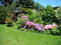 Unterpflanztes Rhodo-Quartier.webp