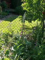 003.webp