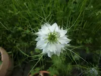CIMG5567.webp