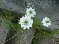 CIMG5570.webp