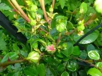 P1060320.webp