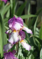 IMG_5905 Kopie.webp