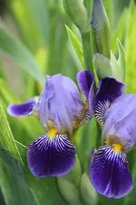 IMG_514522.webp