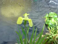 DSC03456.jpg
