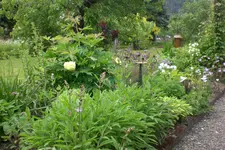 Garten 06 2013 001.webp