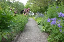 Garten 06 2013 006.webp