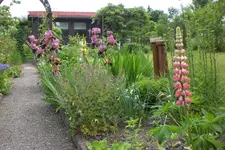 Garten 06 2013 013.webp
