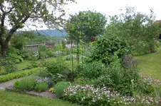 Garten 06 2013 018.webp